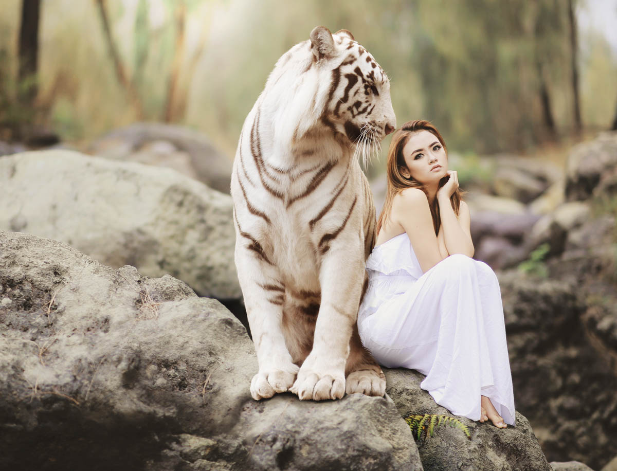 graphic design, photo montage, photo masking