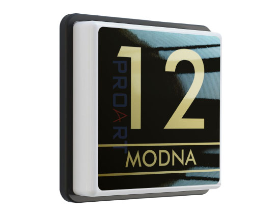 Modern illuminated LED house number